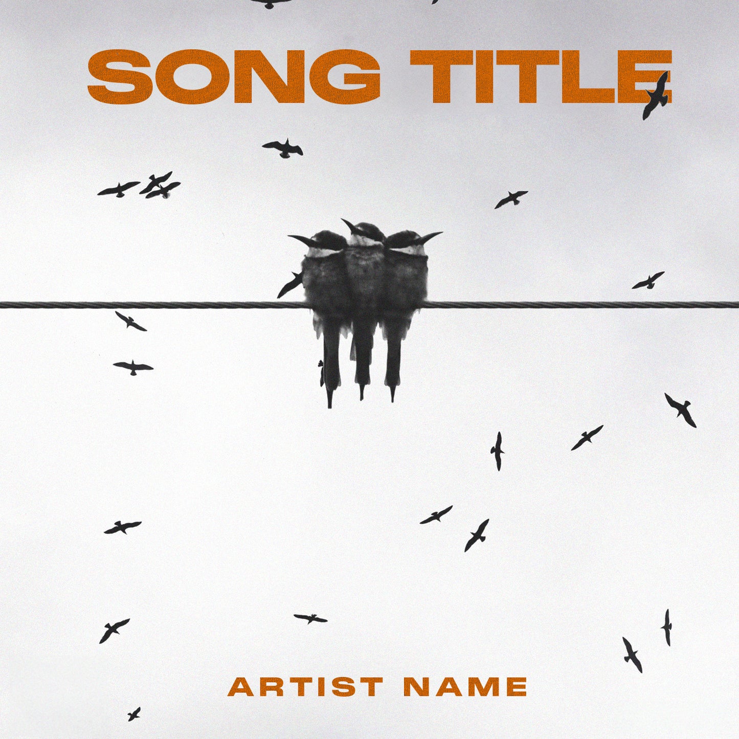 Three birds perched on a telephone wire against a clean white background with bold orange type cover art, embodying determination and resilience.